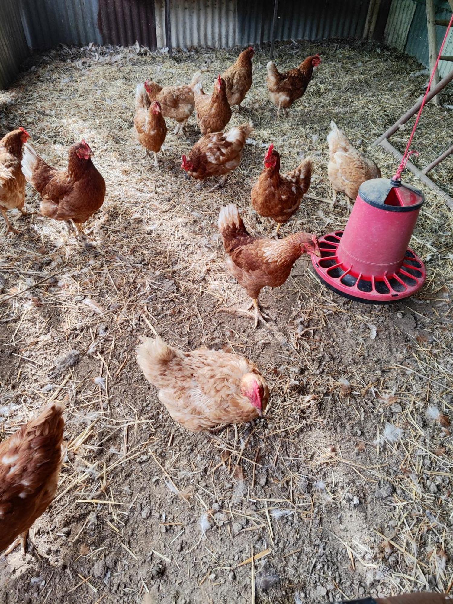 Quinta Da Ponte Das Hortas 2 Elvas Dış mekan fotoğraf